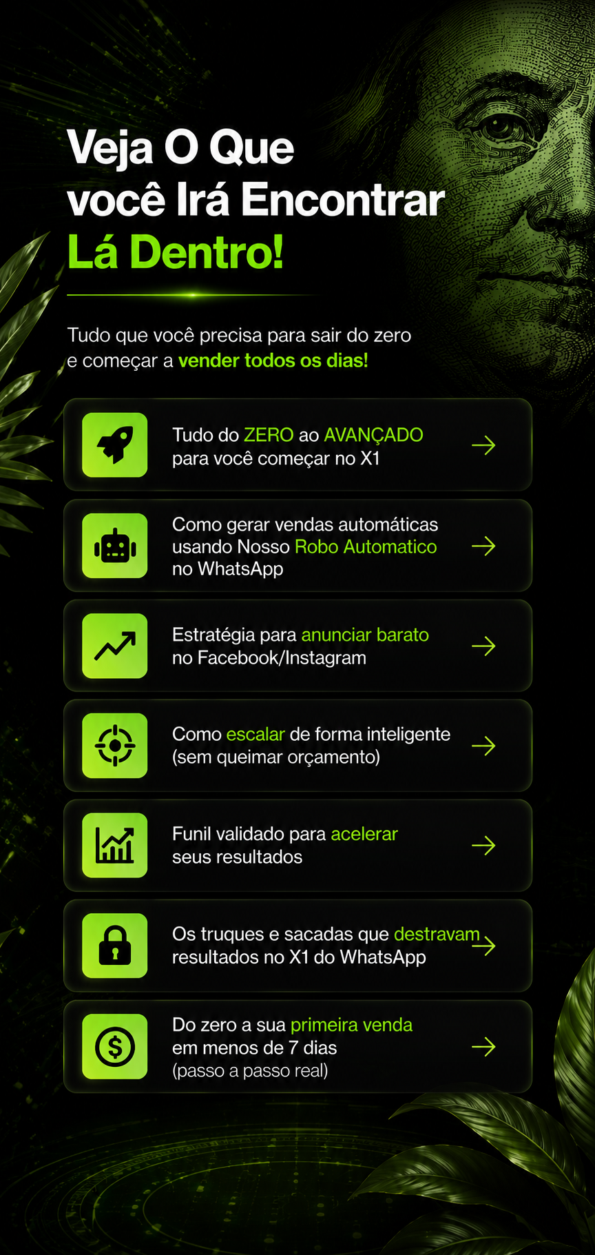Veja o que você irá encontrar lá dentro
